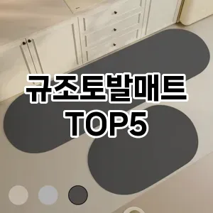 규조토발매트 추천 TOP5 지금 확인하세요